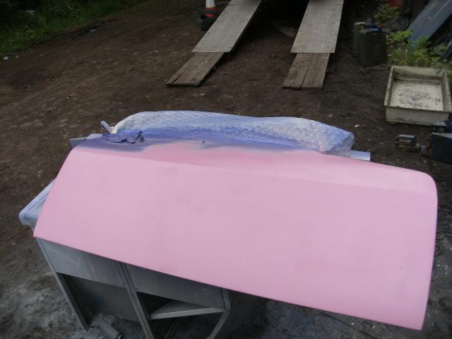 _________pink.JPG